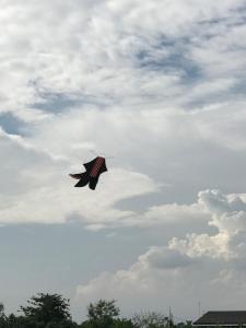 Fotografie z fotogalerie ubytování Griya Telaga Jumpung v Ubudu