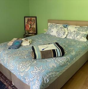 łóżko z niebiesko-białym kocem i poduszkami w obiekcie Mavi Ladin Konukevi w mieście Kars