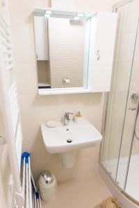 Koupelna v ubytování SWEET HOME Apartman , 30sqm studio, free private parking, mountain view, balcony, 20 min from downtown