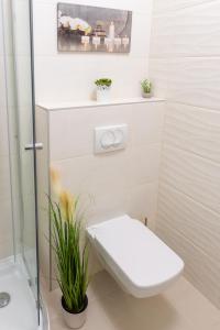 Koupelna v ubytování SWEET HOME Apartman , 30sqm studio, free private parking, mountain view, balcony, 20 min from downtown