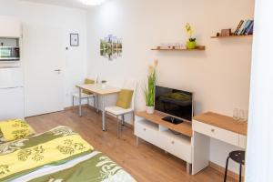 TV a/nebo společenská místnost v ubytování SWEET HOME Apartman , 30sqm studio, free private parking, mountain view, balcony, 20 min from downtown