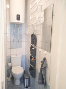 a small bathroom with a toilet and a mirror at Old town center studio in Klaipėda