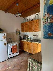 Köök või kööginurk majutusasutuses La casetta tra gli ulivi