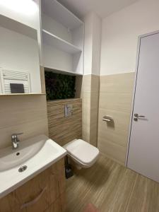 a bathroom with a toilet and a sink and a mirror at Grove Apartment in Buzau