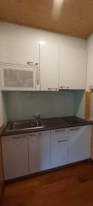 a kitchen with a sink and a microwave at Wind Valley Homestay in Lugu