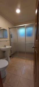 W łazience znajduje się prysznic, toaleta i umywalka. w obiekcie Wind Valley Homestay w Lugu
