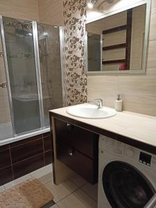 ein Badezimmer mit einem Waschbecken und einer Waschmaschine in der Unterkunft Apartament Wiktoryn in Lublin