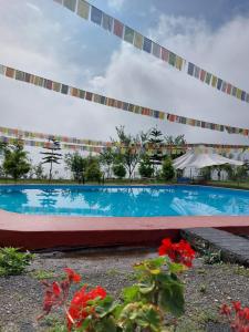 a large swimming pool in front of a building at Mussoorie Camp Resort in Mussoorie