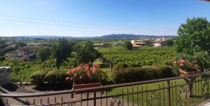 a view of a vineyard from the balcony of a house at Ca dei Giari in Valdobbiadene
