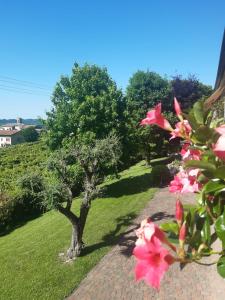 een boom in het gras met roze bloemen bij Ca dei Giari in Valdobbiadene