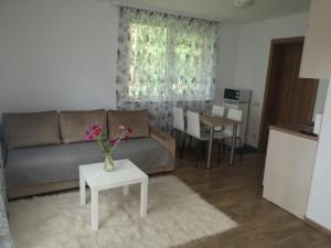Gallery image of Kristinos apartment in Druskininkai