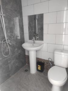 a bathroom with a sink and a toilet at Santai Homestay Batam in Batam Center