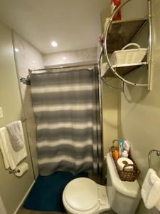a small bathroom with a toilet and a shower at Hidden Gem near Downtown Frederick and shopping in Frederick