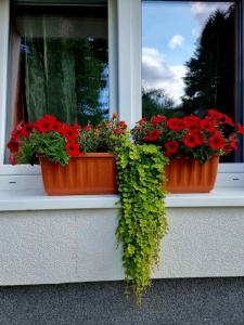 Zahrada ubytování Haus Bierherr