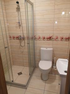 a bathroom with a shower and a toilet and a sink at Kristinos apartment in Druskininkai