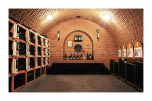 Fotografia z galérie ubytovania Restaurace-Pension-Vinařství U Šťastných v destinácii Mistřín