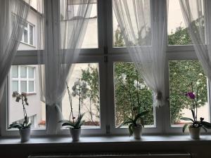 Foto da galeria de Cozy apartment in the city centre em Olomouc