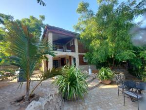 a house with a palm tree in front of it at La Bella Donna in Ifaty
