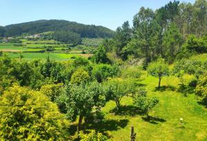 an aerial view of a field with trees and grass at Raio do Sol - Apartamento Turístico in Muxia +20 photos