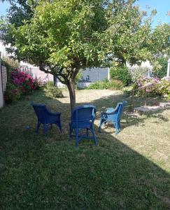 trzy niebieskie krzesła siedzące pod drzewem w trawie w obiekcie L’Apazys w mieście Saint-Cast-le-Guildo