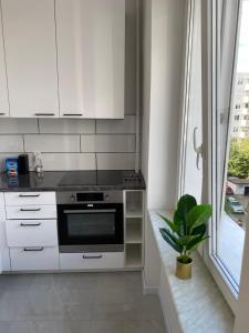 Kuchyňa alebo kuchynka v ubytovaní Cool Life Apartment + 9 fotografií