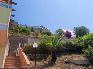 um conjunto de escadas para uma casa com uma palmeira em Nicoletta em Piraino