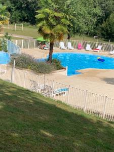 płot wokół basenu z palmą w obiekcie Chalet 17 tournesol Mauroux w mieście Mauroux