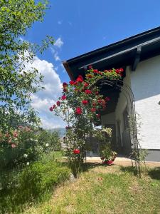 Zahrada ubytování Ferienhaus Lara