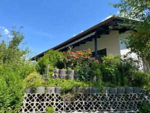 Zahrada ubytování Ferienhaus Lara