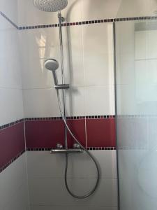 a shower with a shower head in a bathroom at Ti sterennou Maison néo bretonne rénovée proche axe Paris Brest RN12 et tgv 