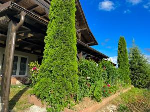 Gallery image of Cabana La Coco Horea in Horea +27 photos