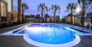 uma grande piscina num quintal com palmeiras em Comfort Inn & Suites em Beeville