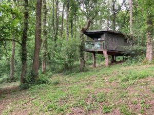 a tree house in the middle of a forest at Unique off Grid Tree-House Stay in oak woodland in Longhope