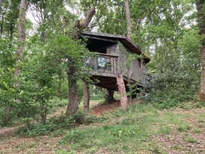 LonghopeにあるUnique off Grid Tree-House Stay in oak woodlandのギャラリーの写真