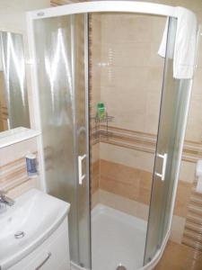eine Dusche mit Glastür im Bad in der Unterkunft Guest House Goršič in Grosuplje