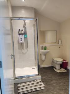 a bathroom with a shower and a toilet at My room in Edinburgh