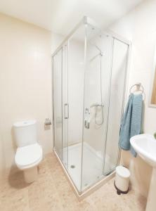 a bathroom with a shower with a toilet and a sink at Almar Carril in Vilagarcia de Arousa