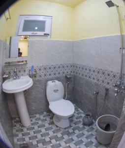 a bathroom with a toilet and a sink at Ringchan Guest House & Restaurant in Skardu