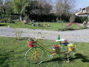 a bike parked in the grass with baskets on it at Martine à la Ferme in Arrest