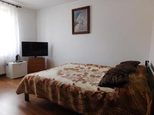 a bedroom with a bed and a flat screen tv at Pokoje gościnne Edan in Łeba