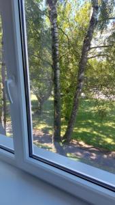 a window with a view of a forest of trees at Cenkones Street Apartment in Liepāja