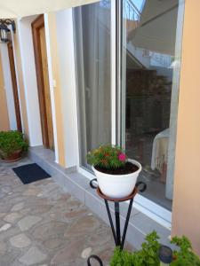 una maceta de flores sentada en un puesto frente a una ventana en Natassa House 2 en Agios Georgios Pagon