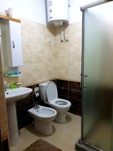 a bathroom with a toilet and a sink at Vila Koltrina in Shkodër +36 photos