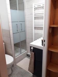 a bathroom with a shower and a toilet and a sink at STUDIO DE LA BICHETTE in Besse-et-Saint-Anastaise