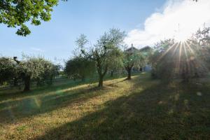 Príroda v okolí apartmánu