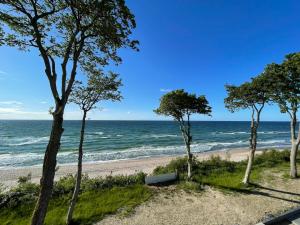 a beach with trees and the ocean in the background at APARTAMENT 36 na klifie z widokiem na morze ADULTS ONLY in Rewal
