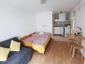 Kuchyňa alebo kuchynka v ubytovaní Kaméleon Apartmanház EV töltéssel