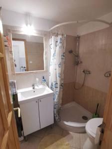 La salle de bains est pourvue d'un lavabo, d'une douche et de toilettes. dans l'établissement Kaméleon Apartmanház, à Balatonszemes