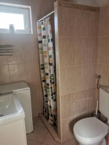 Kúpeľňa v ubytovaní Kaméleon Apartmanház EV töltéssel