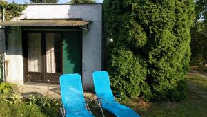 Vonkajšia záhrada v ubytovaní Kaméleon Apartmanház EV töltéssel